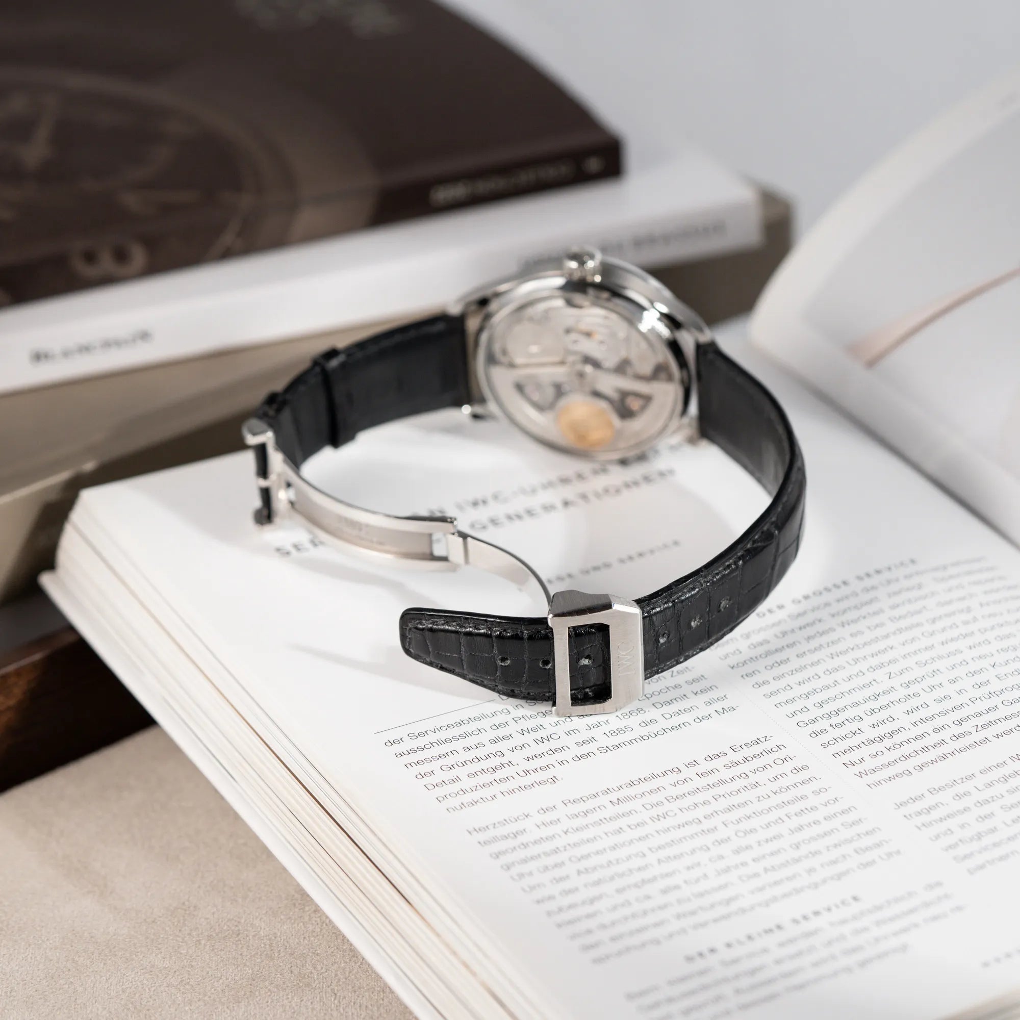 Portuguese Automatic 7 Days | IW5001 | Box & Papers | 2010