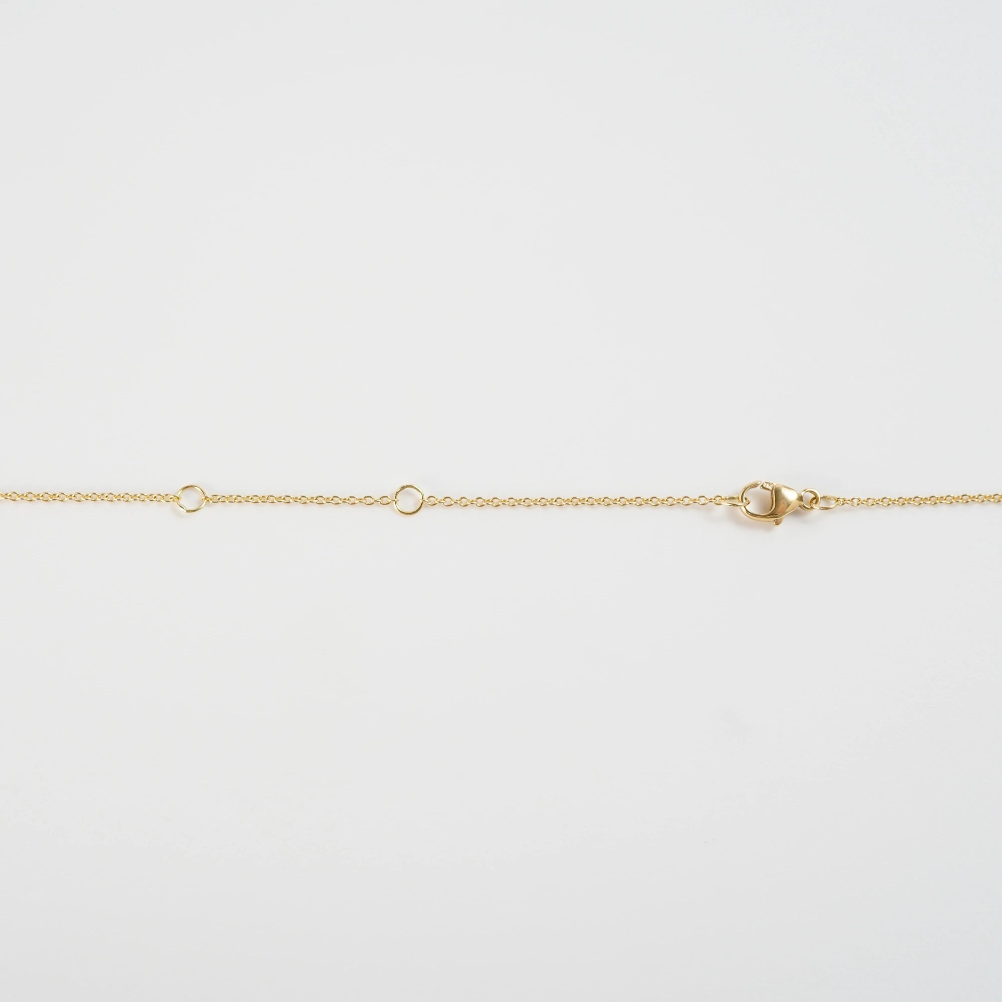 Detailaufnahme des Verschlussmechanismus des Collliers mit einem Karabiner und drei Ösen zum Einstellen der Kettenlänge