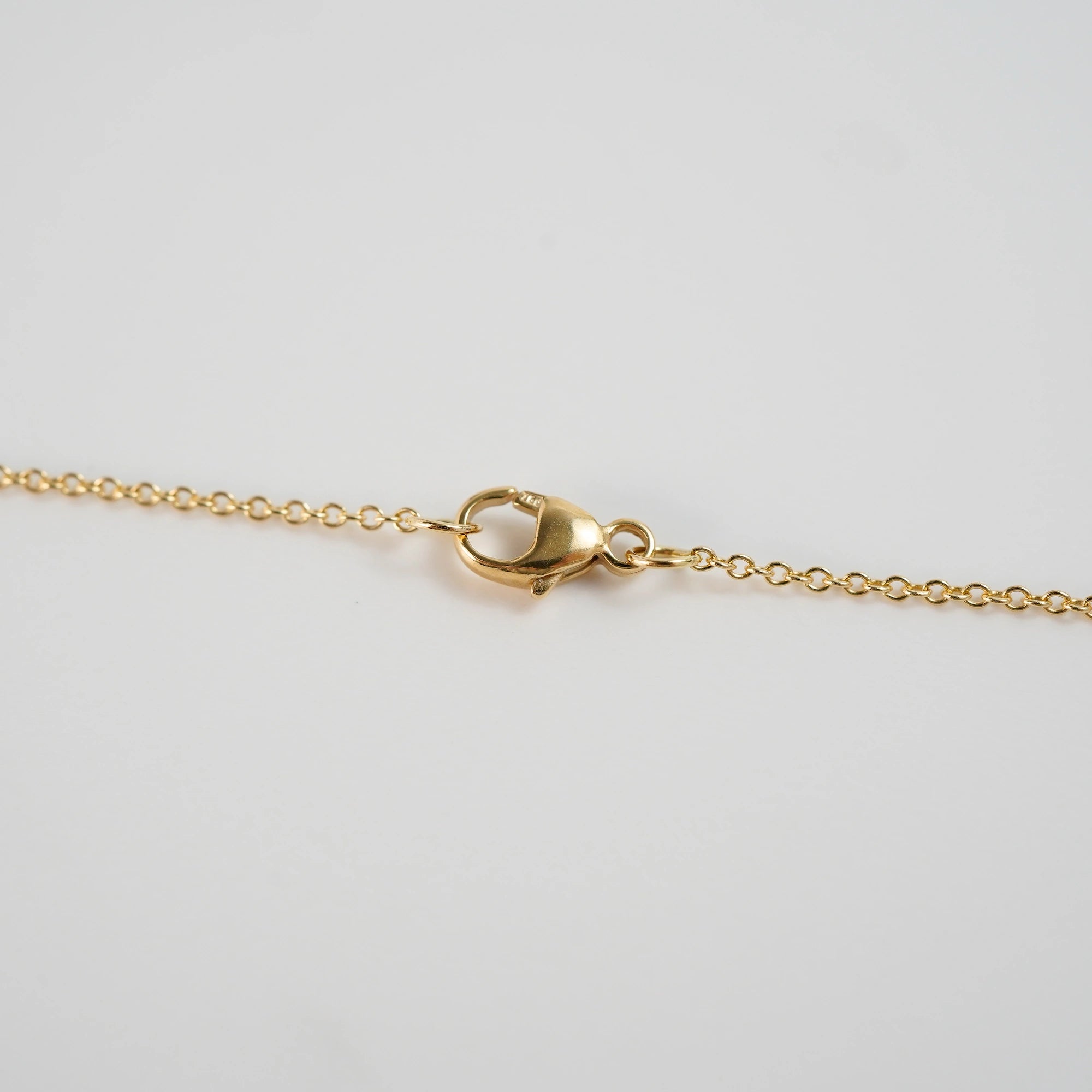 Makroaufnahme des Karabiners des Rubin Colliers aus der Schmuckatelier Lang Collection