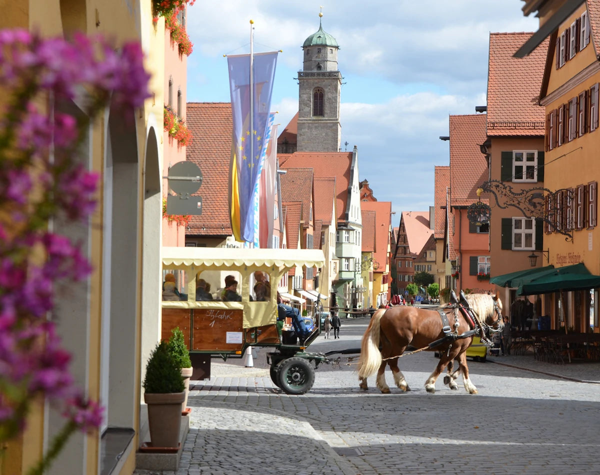 Blick vom Segringer Tor auf die Segringer Straße in der Altstadt von Dinkelsbühl, wo gerade eine Kutsche für eine Stadtrundfahrt von Pferden gezogen wird