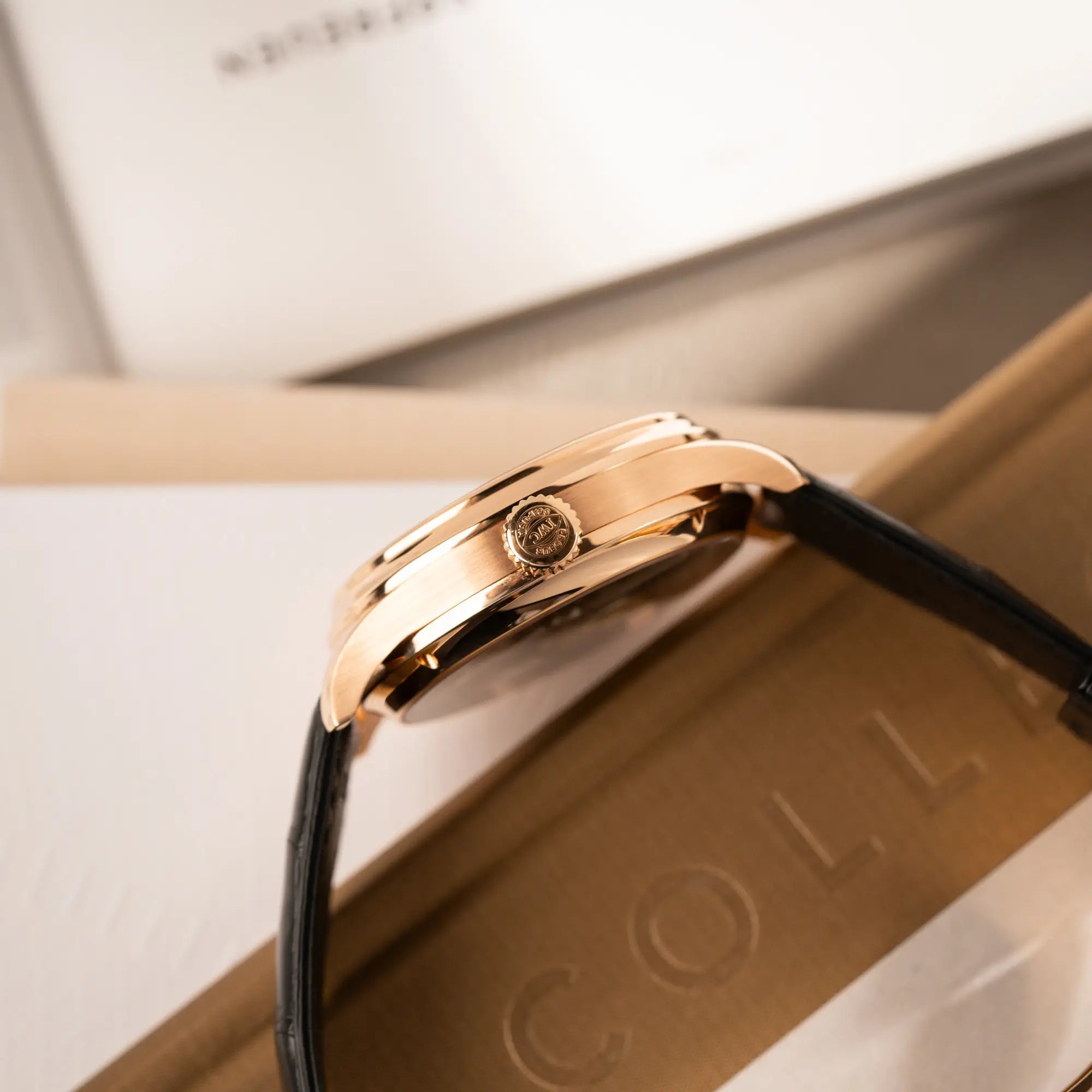 Portugieser Ewiger Kalender | IW502122 | Box & Papiere | 2011