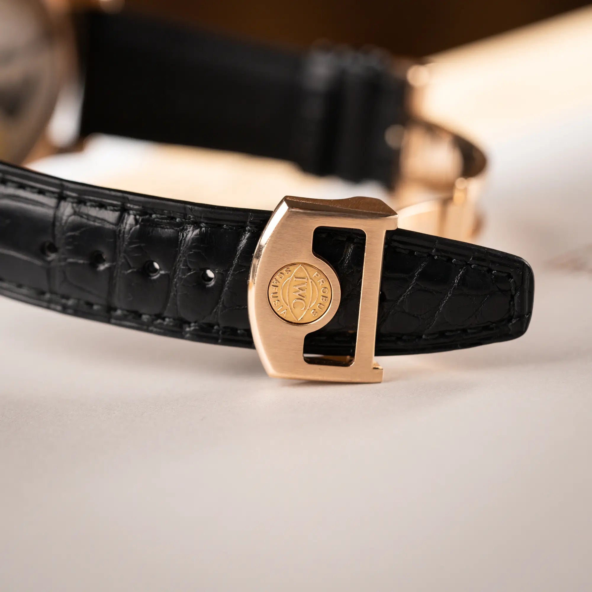 Portugieser Ewiger Kalender | IW502122 | Box & Papiere | 2011