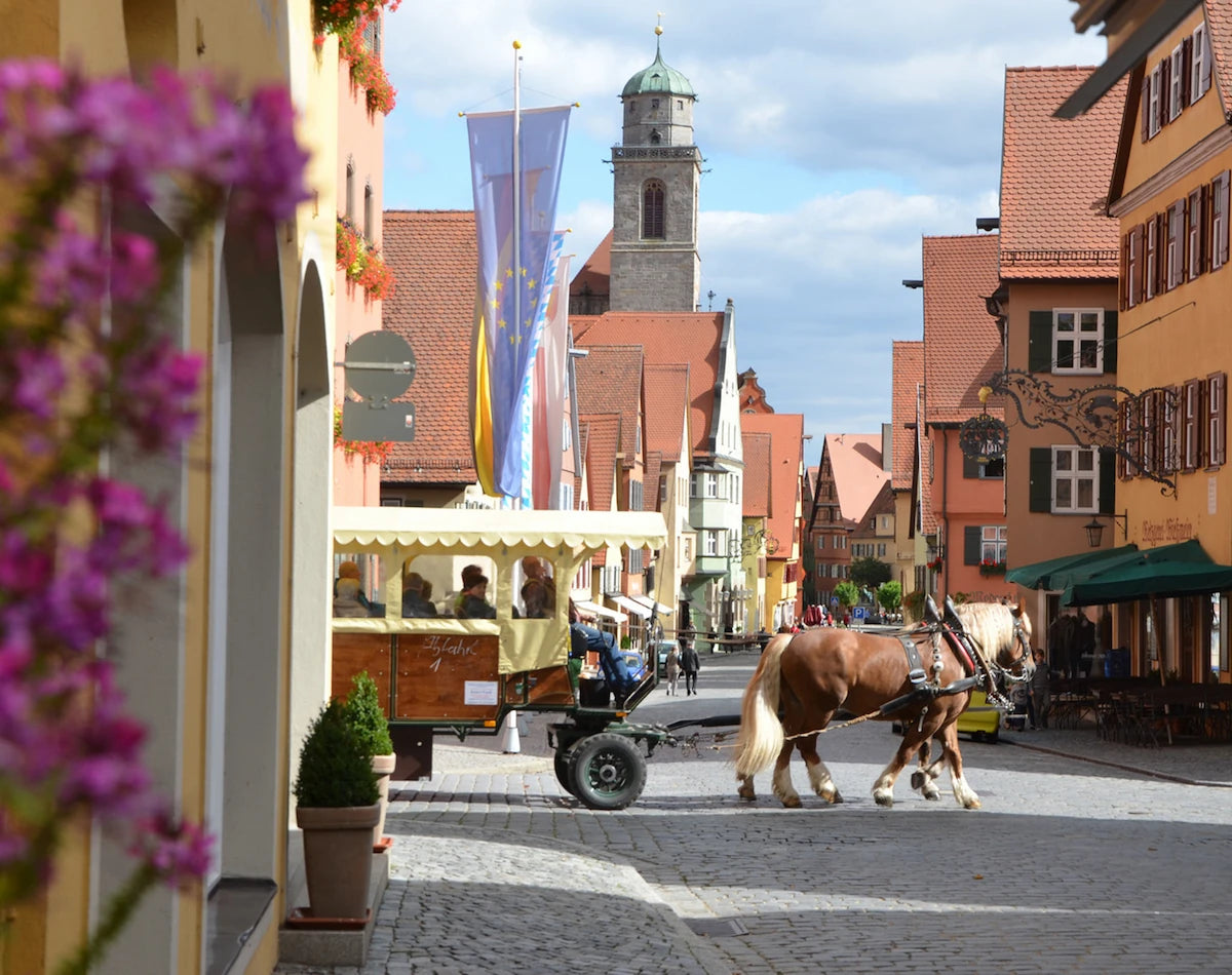 Blick vom Segringer Tor auf die Segringer Straße in der Altstadt von Dinkelsbühl, wo gerade eine Kutsche für eine Stadtrundfahrt von Pferden gezogen wird 